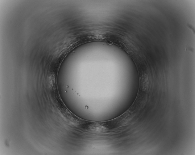 X0000103440747200809191724