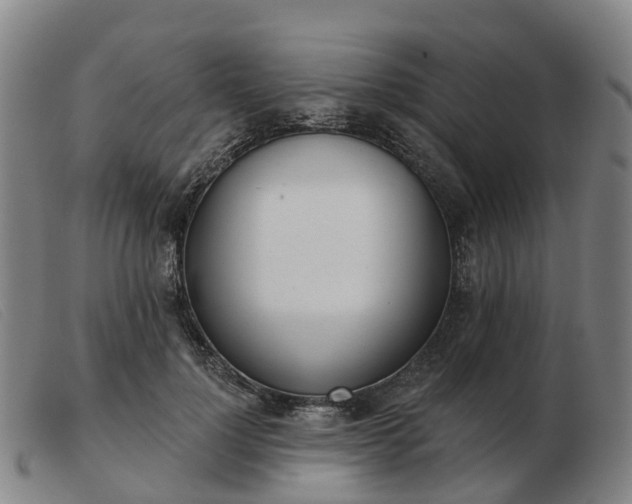 X0000103440748200809191724