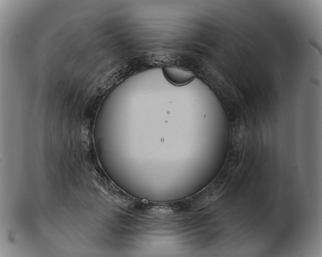 X0000103440749200809191724