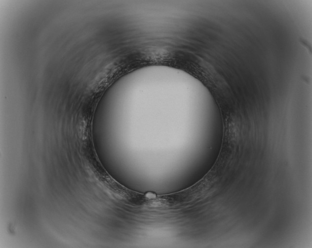 X0000103440750200809191724