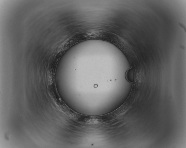 X0000103440751200809191724