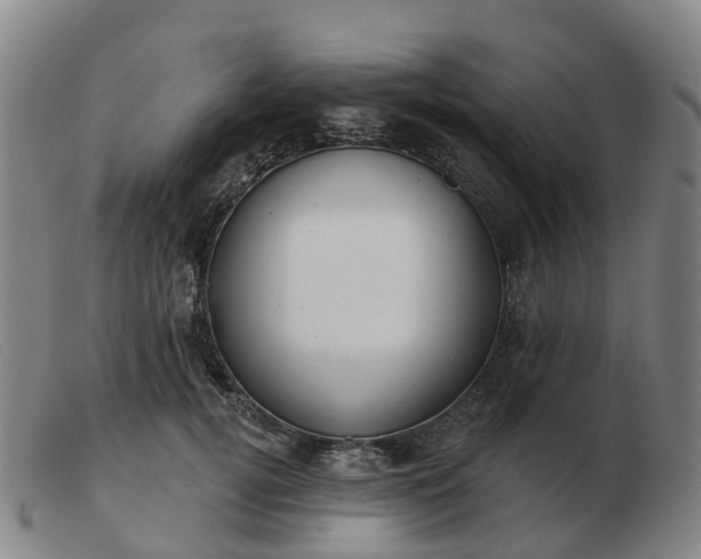 X0000103440752200809191724