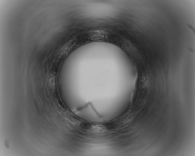 X0000103440753200809191724