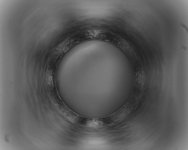 X0000103440754200809191724