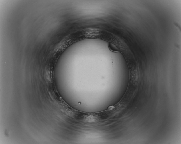 X0000103440755200809191725