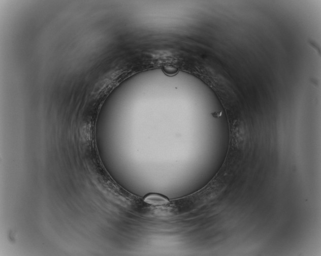 X0000103440756200809191725