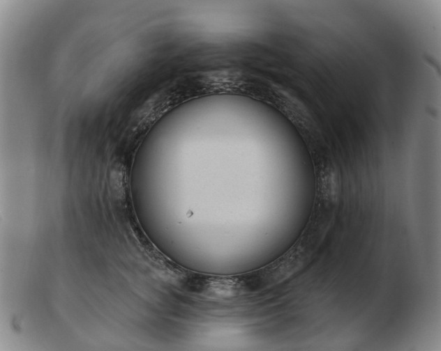 X0000103440757200809191725