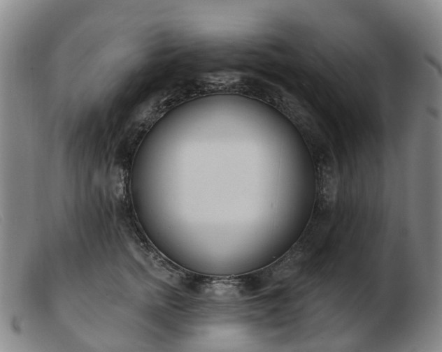 X0000103440758200809191725