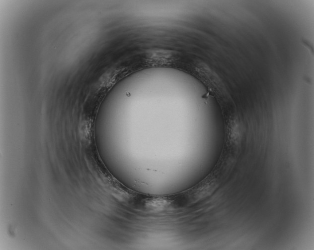 X0000103440759200809191725