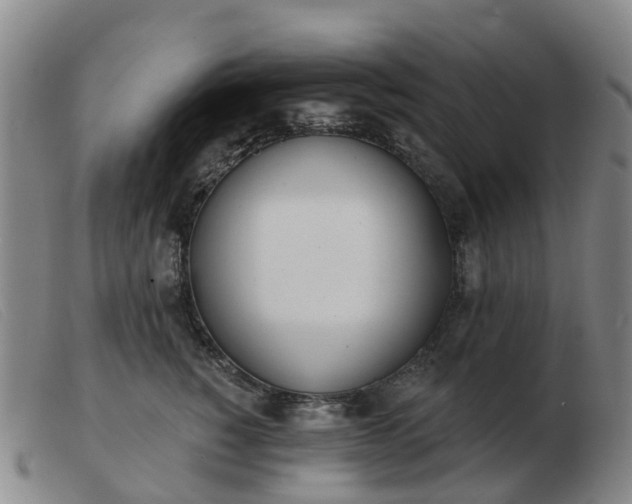 X0000103440760200809191725