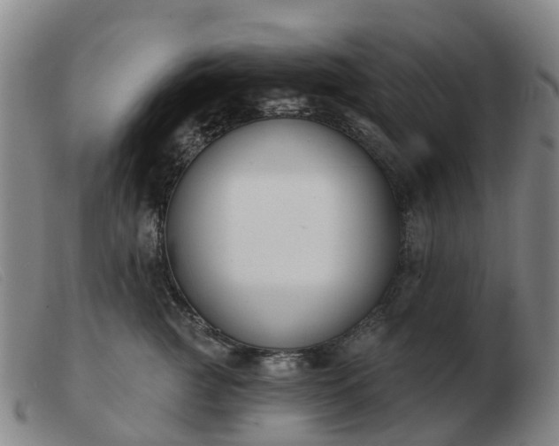 X0000103440761200809191725