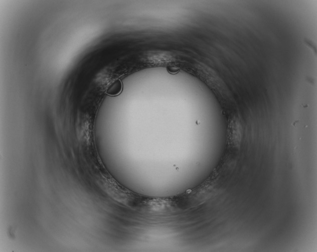 X0000103440762200809191725