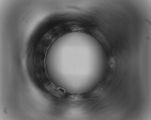 X0000103440763200809191725