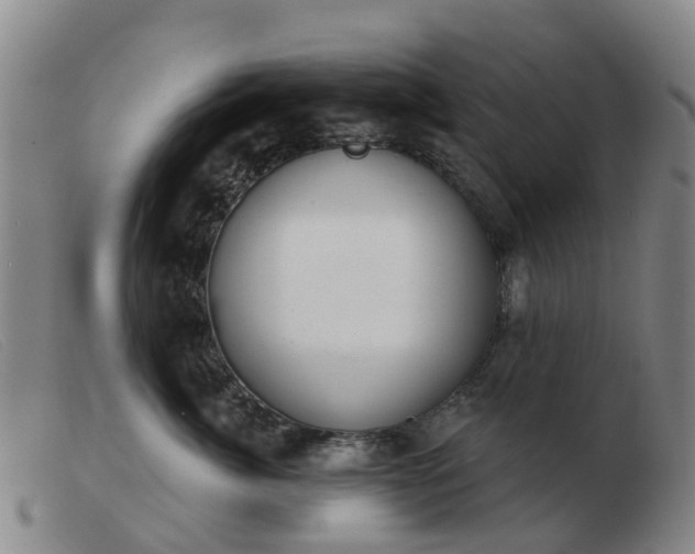X0000103440764200809191725