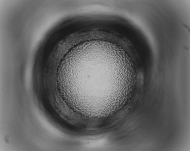 X0000103440765200809191725