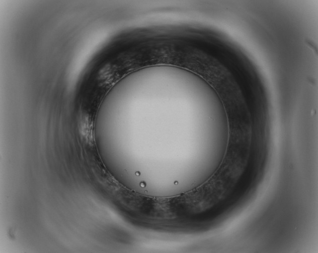 X0000103440766200809191725