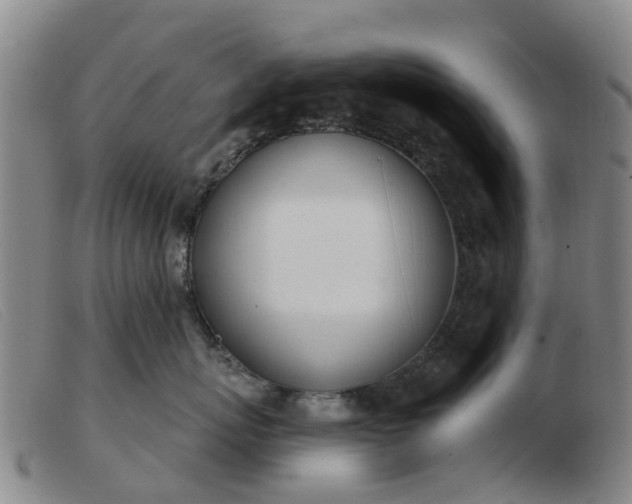 X0000103440767200809191725