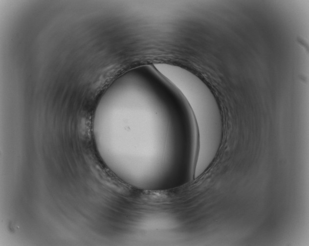 X0000103440768200809191725