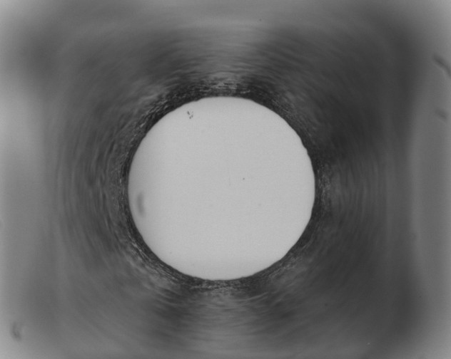 X0000103440769200809191724