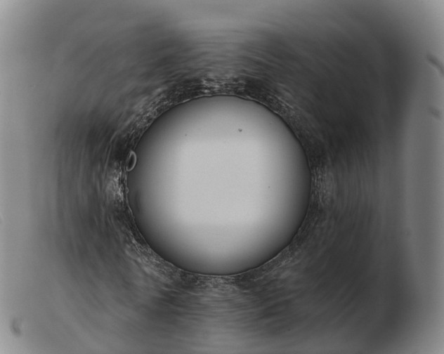 X0000103440770200809191724