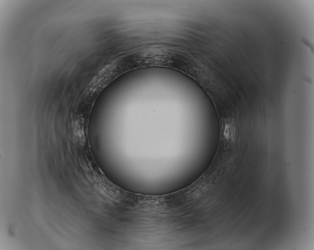X0000103440771200809191724