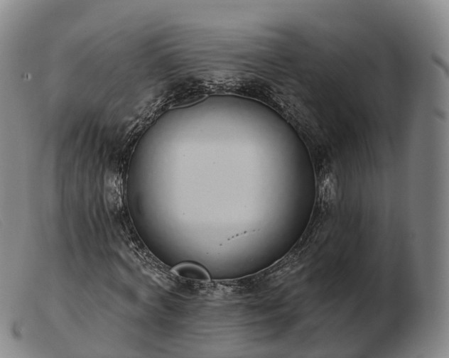 X0000103440772200809191724