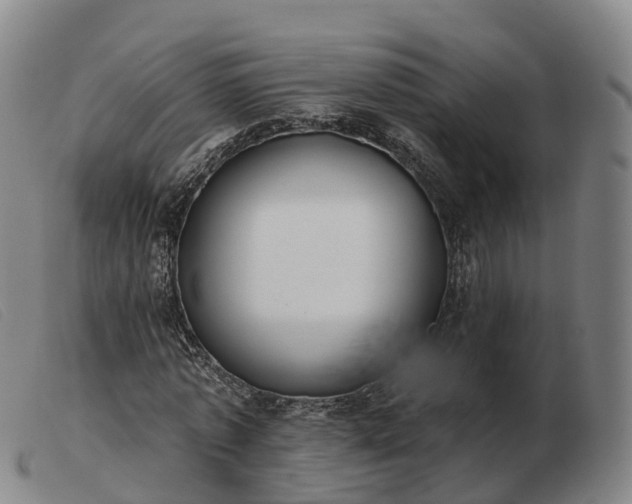 X0000103440773200809191724