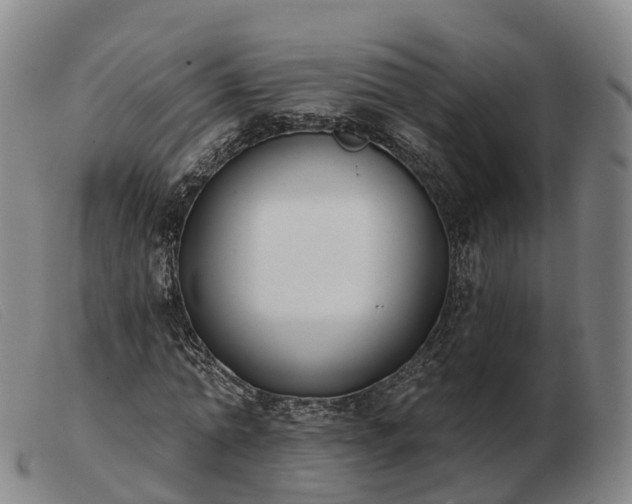 X0000103440774200809191724