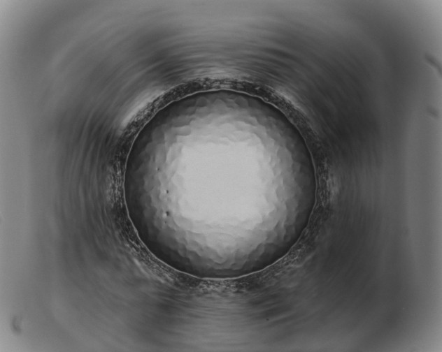 X0000103440775200809191724