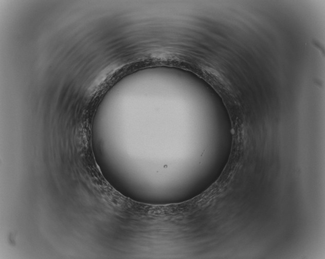 X0000103440776200809191724