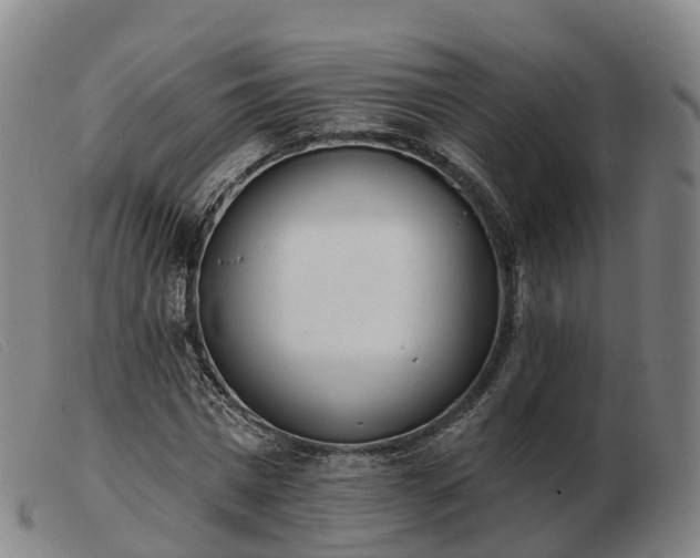X0000103440777200809191724