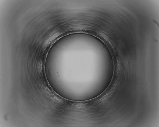 X0000103440778200809191724