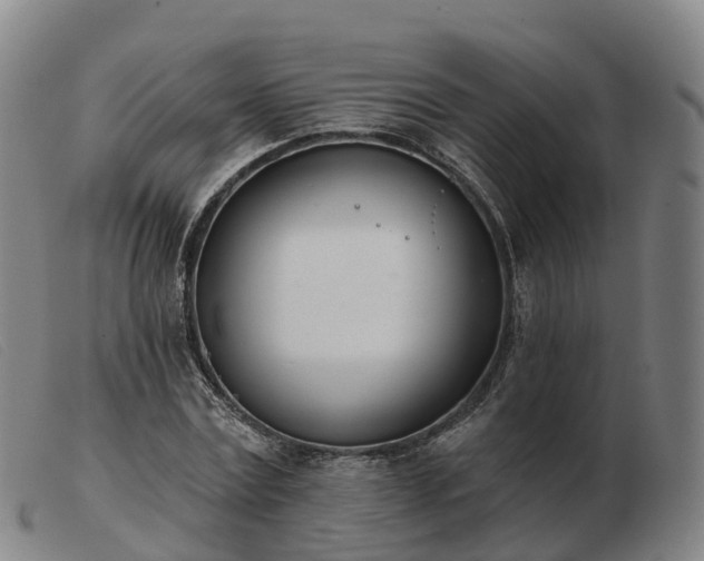 X0000103440779200809191724