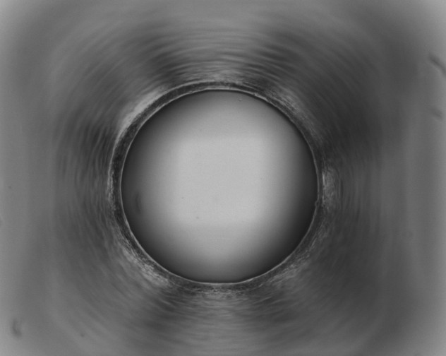 X0000103440780200809191724