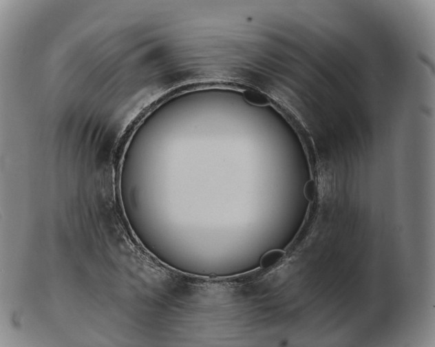 X0000103440781200809191724