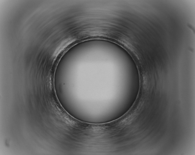 X0000103440782200809191724