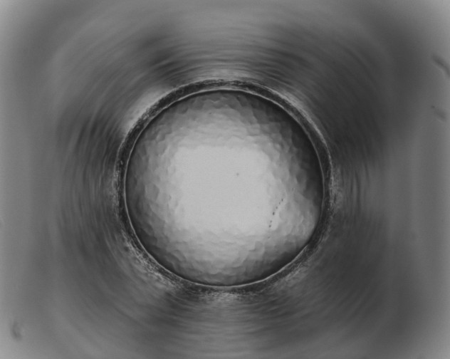 X0000103440783200809191724