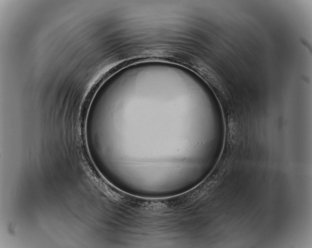 X0000103440784200809191724