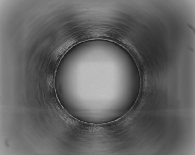 X0000103440785200809191724
