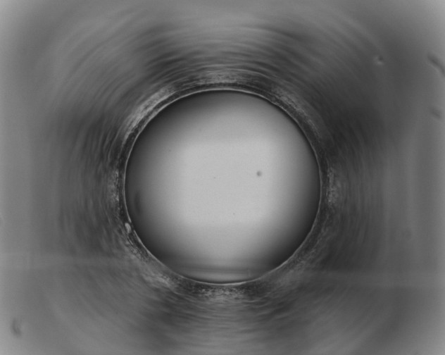 X0000103440786200809191724