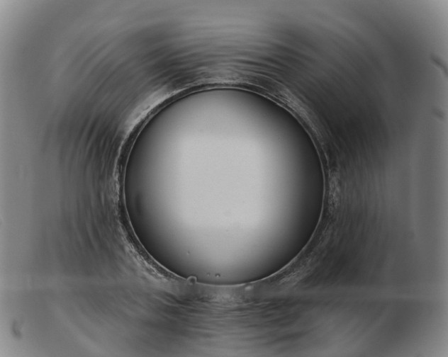X0000103440787200809191724