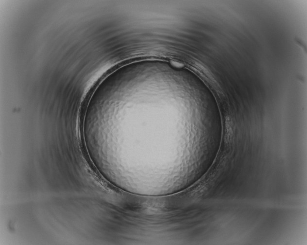 X0000103440788200809191724