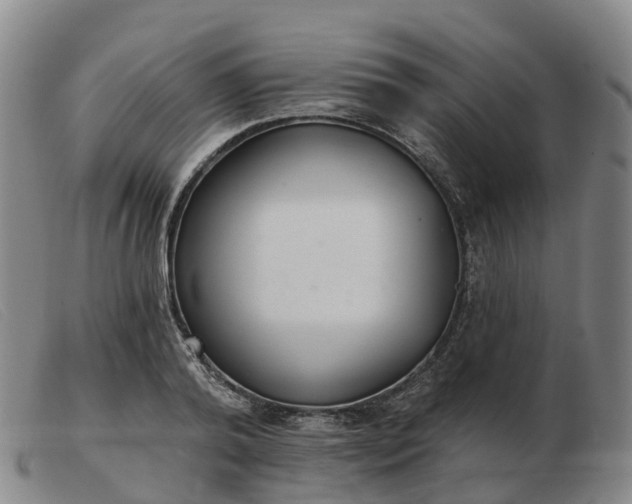 X0000103440792200809191724
