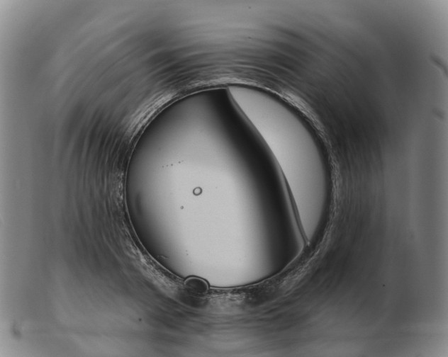 X0000103440793200809191724