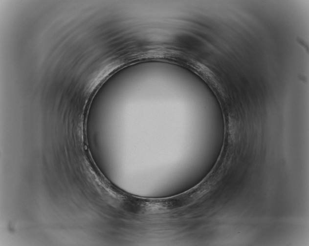 X0000103440794200809191724