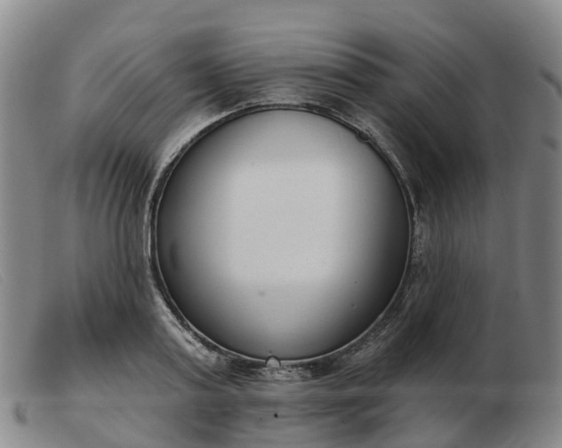 X0000103440795200809191723