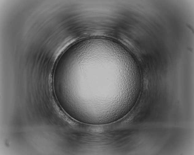 X0000103440798200809191723
