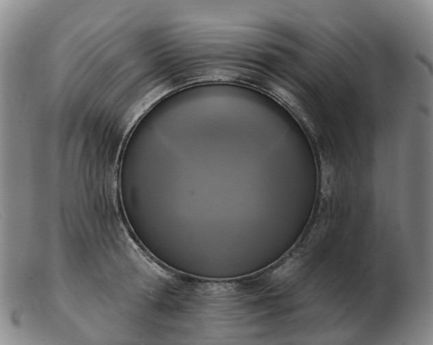 X0000103440802200809191723