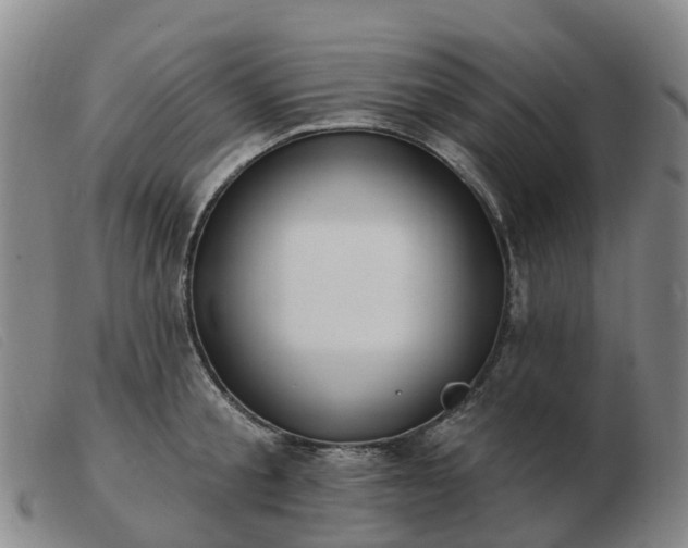 X0000103440805200809191723