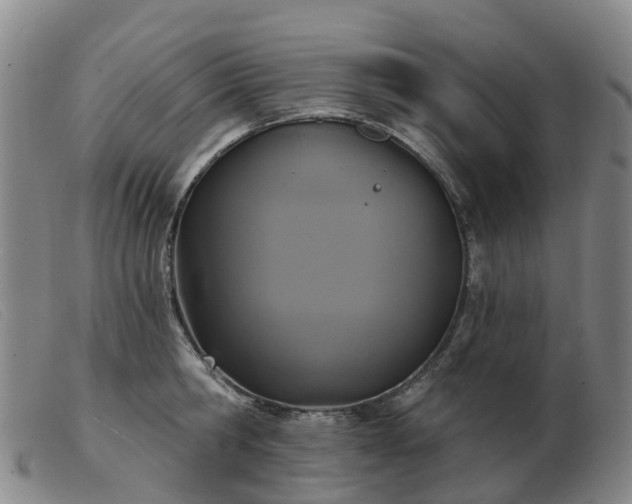 X0000103440806200809191723